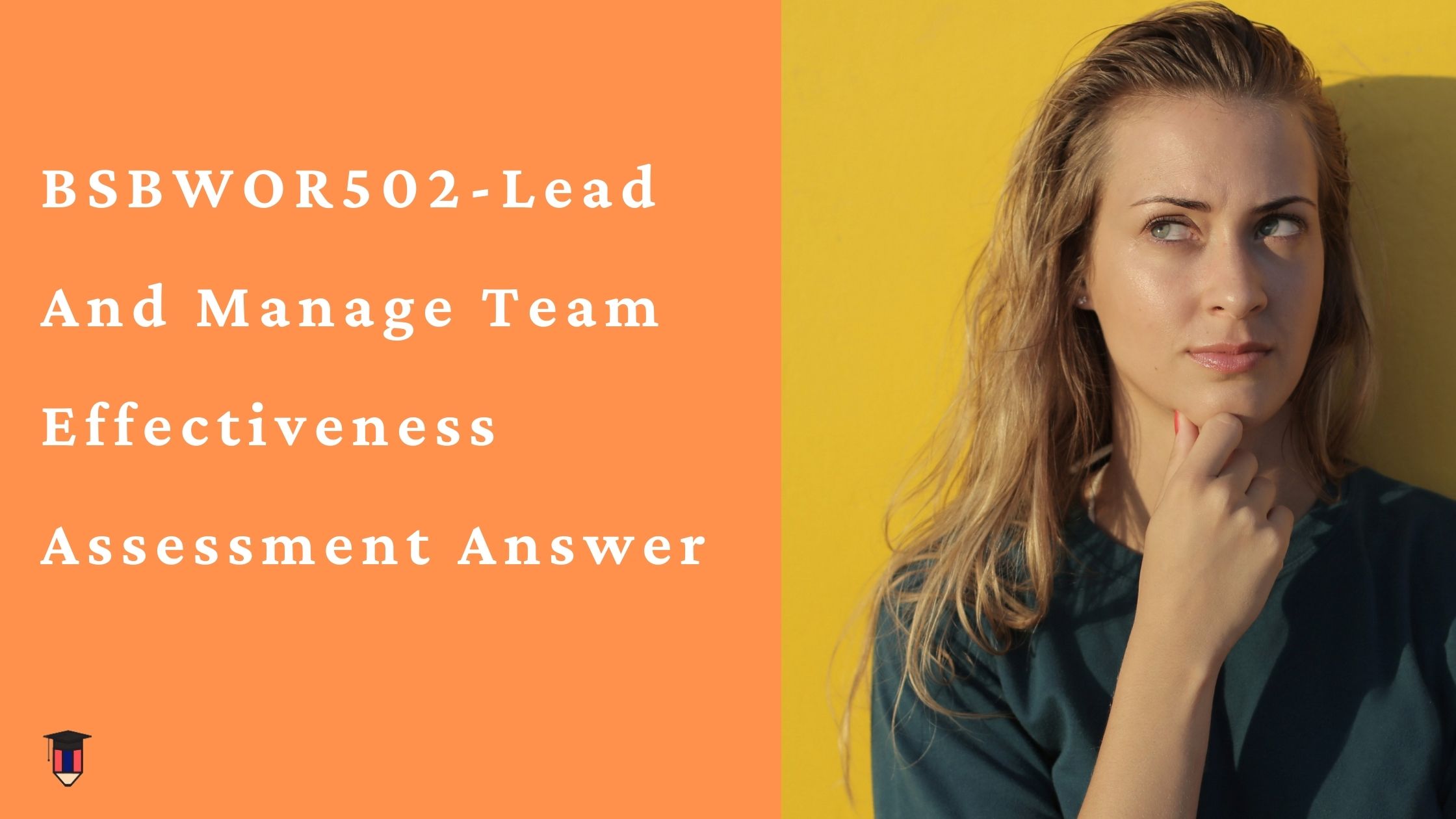 BSBWOR502-Lead And Manage Team Effectiveness Assessment Answer